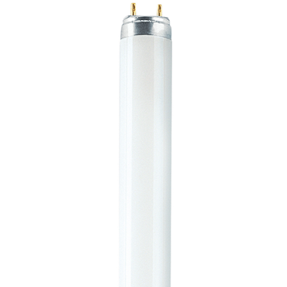 Show details for T8 Lumilux Deluxe Fluorescent Tube Picture of T8 Lumilux Deluxe Fluorescent Tube